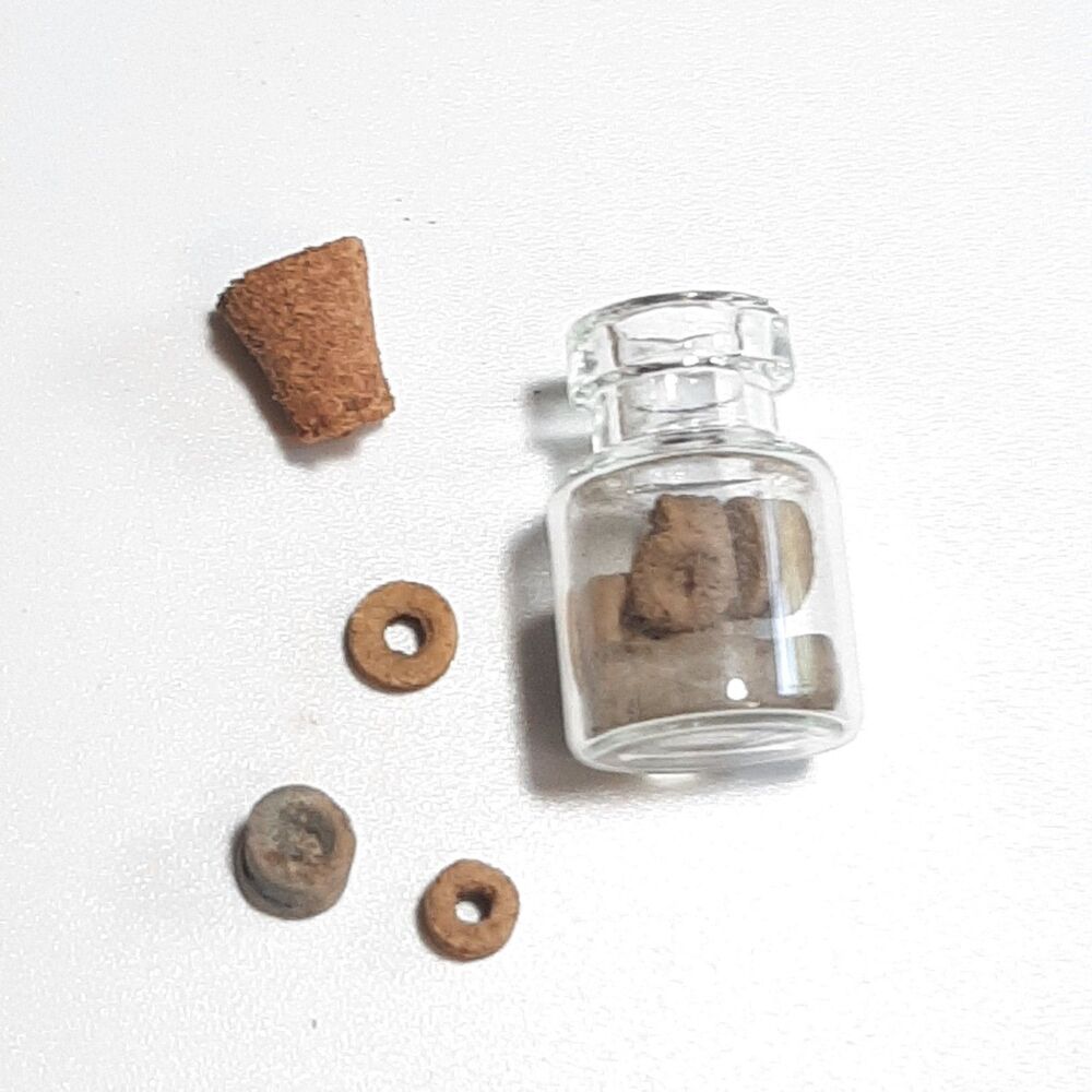 Bottle Of Crinoid Fossils